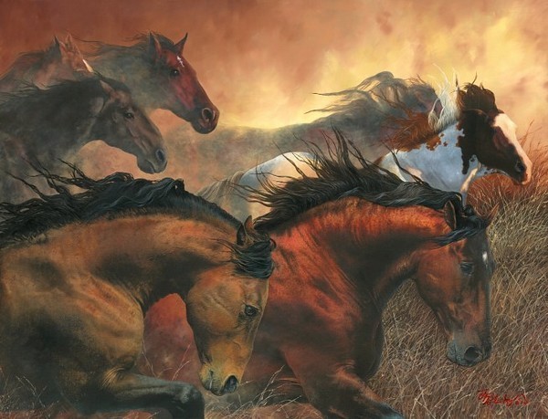 Horse Imagens