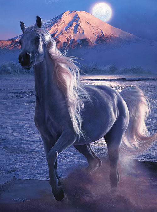CAVALOS