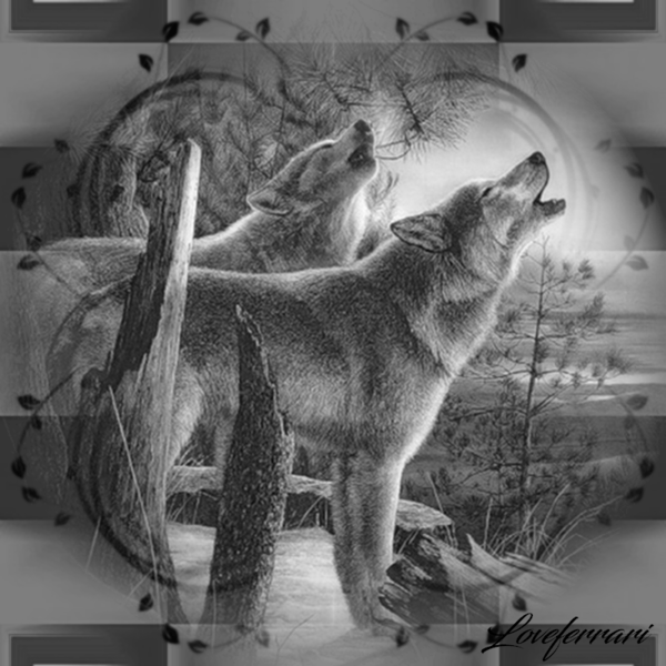 Image du Blog loveferrari.centerblog.net