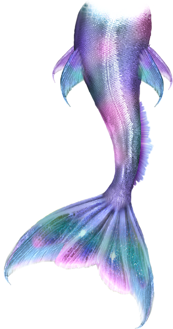 Cola De Sirena Png - Free Logo Image